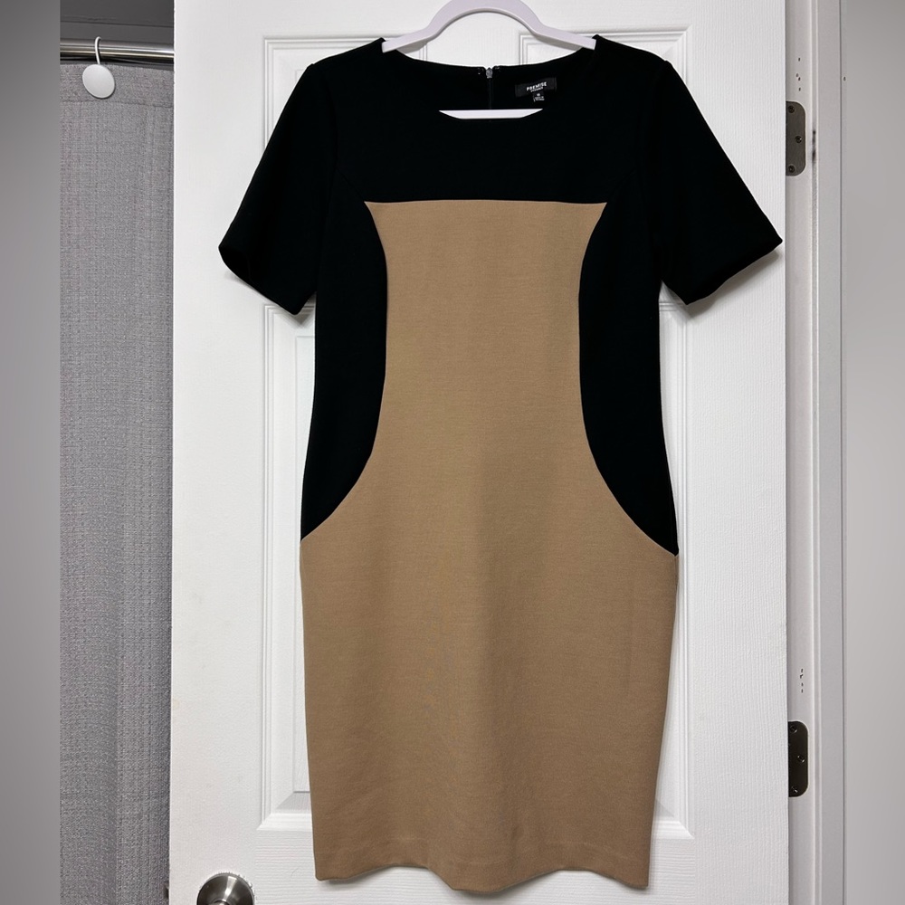 Express Premise Ponte Dress